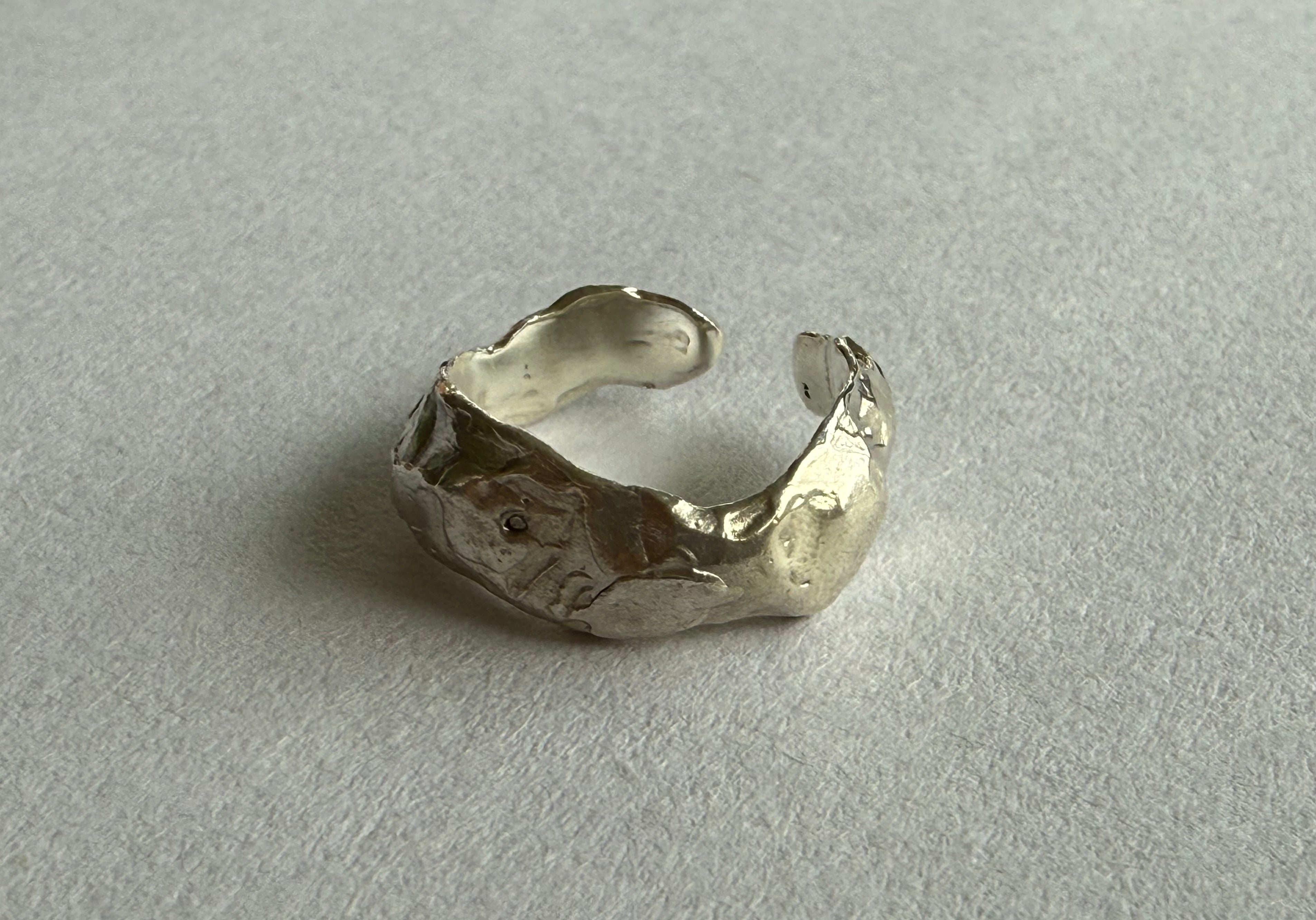 Anillo 001